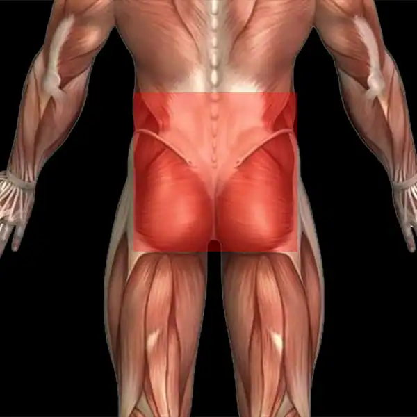 Anatomical region of low back pain between the lower ribs and gluteal folds